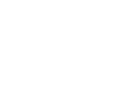 Professional engineering team